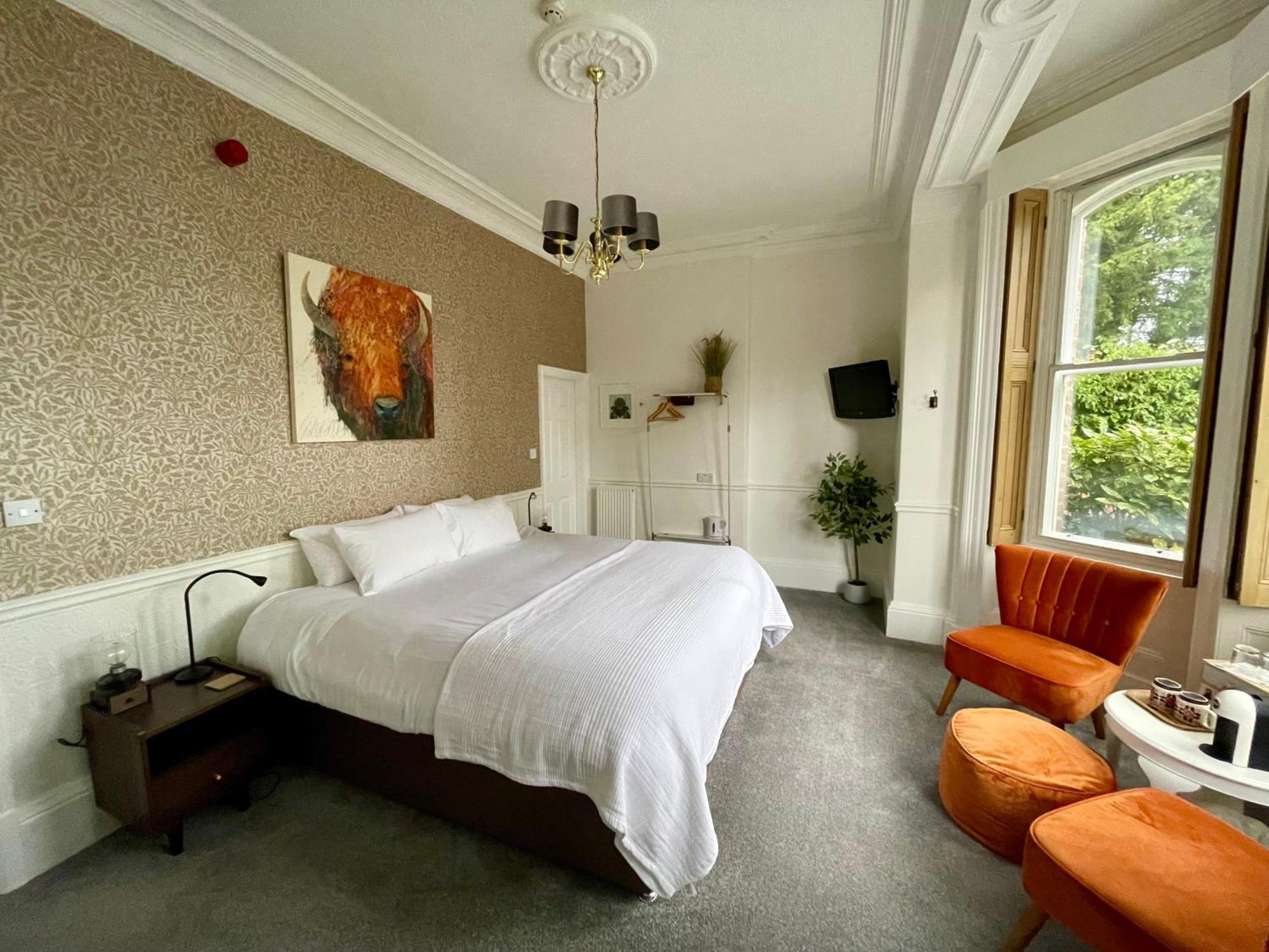 The Bishop And The Bison Bed and Breakfast York Rum bild